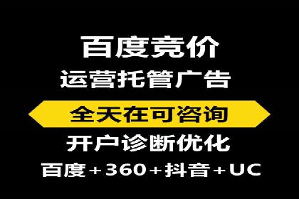 SEM公司案例研究：数据驱动营销策略